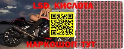 эйфоретик Камышлов
