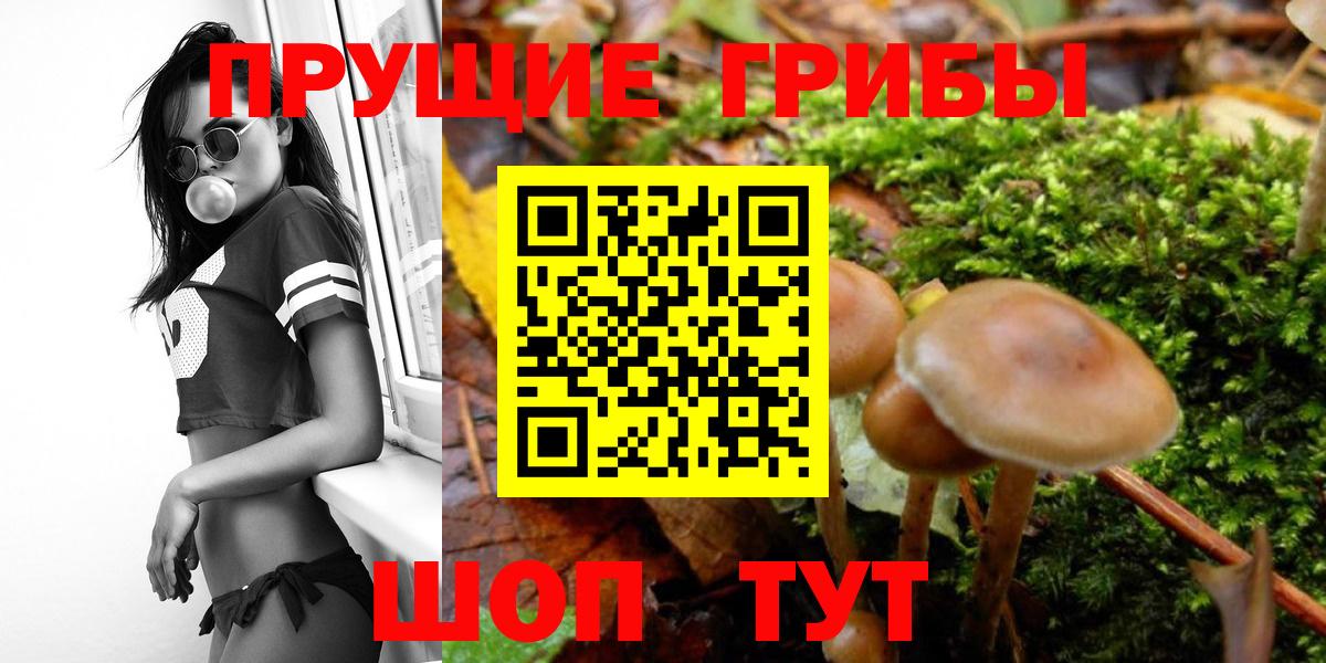 Галлюциногенные грибы Magic Shrooms Чебоксары