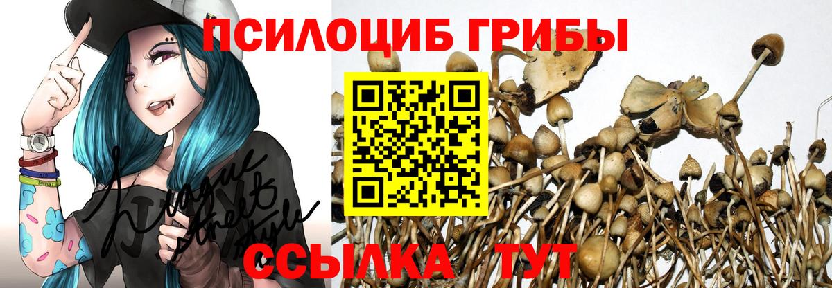 Псилоцибиновые грибы GOLDEN TEACHER  Галлюциногенные грибы мухоморы  Вход с VPN  Чебоксары 